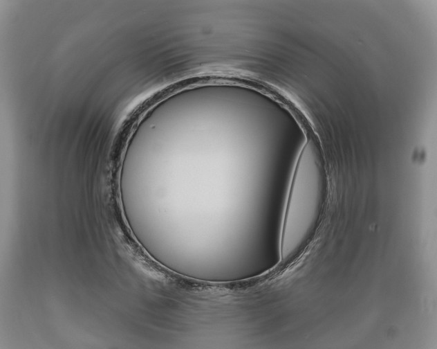 X0000089760971200706210950