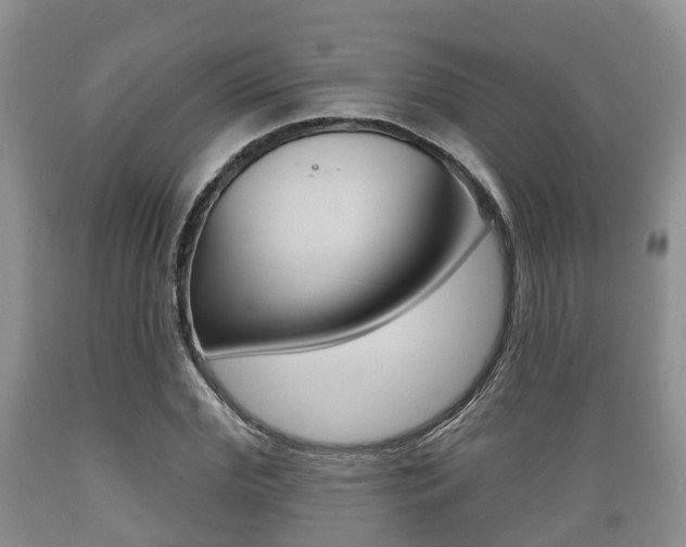 X0000089760972200706210950