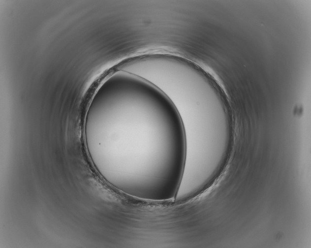 X0000089760973200706210950