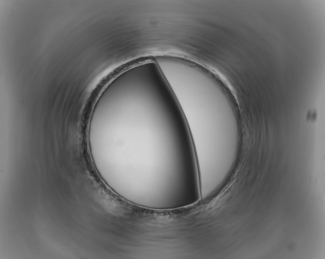X0000089760975200706210950