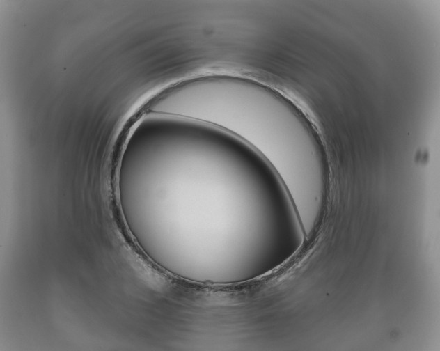 X0000089760976200706210950
