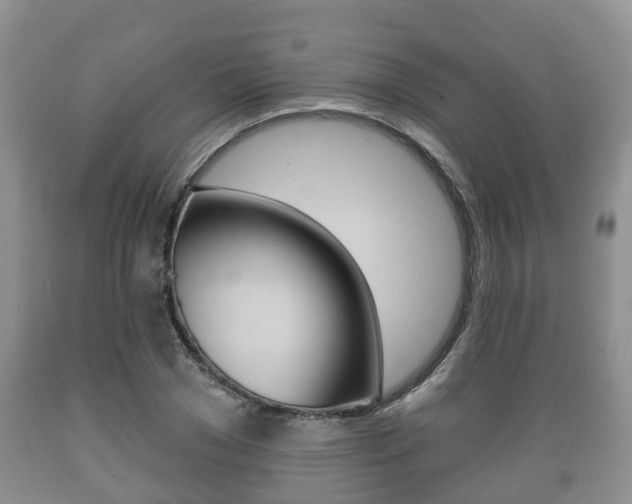 X0000089760977200706210950