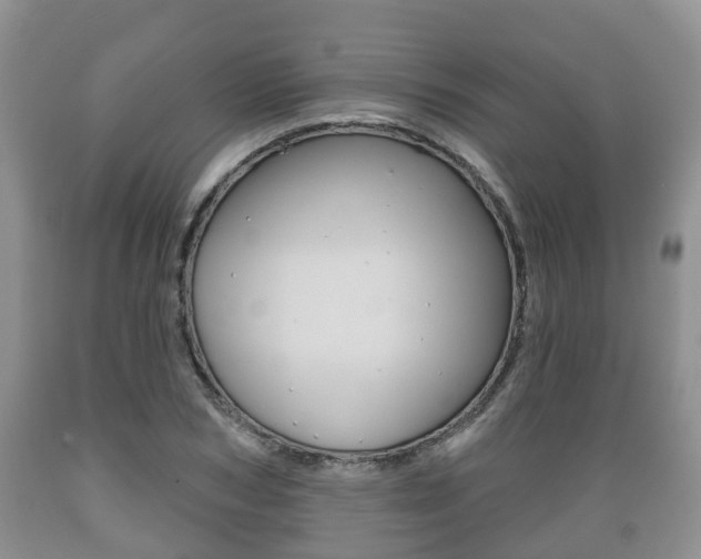 X0000089760978200706210950