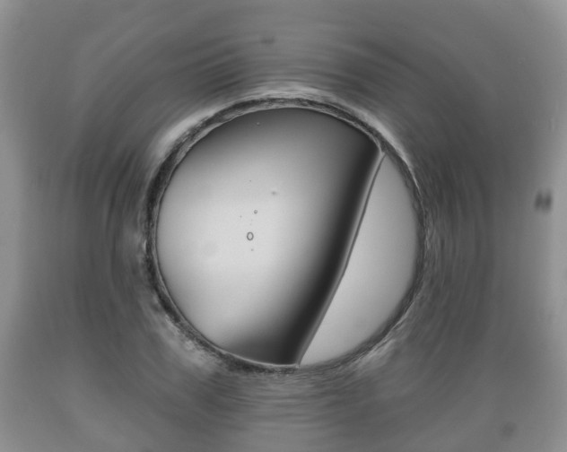 X0000089760979200706210950