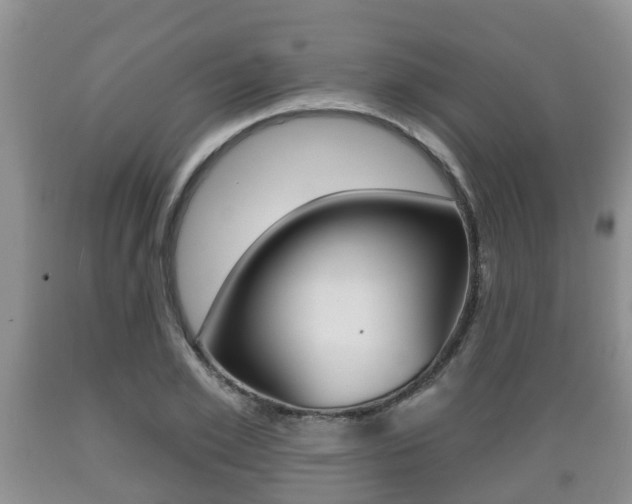 X0000089760981200706210950