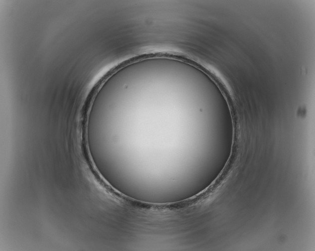 X0000089760983200706210950