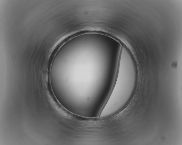 X0000089760984200706210950