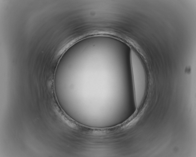 X0000089760985200706210950