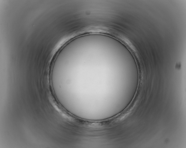 X0000089760986200706210950
