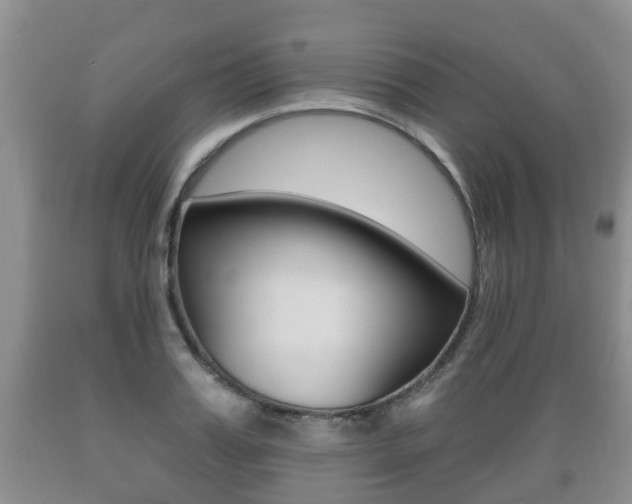 X0000089760987200706210950