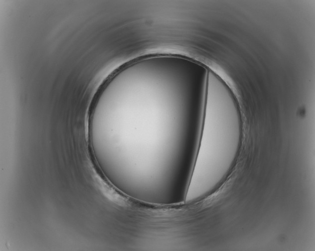 X0000089760988200706210950