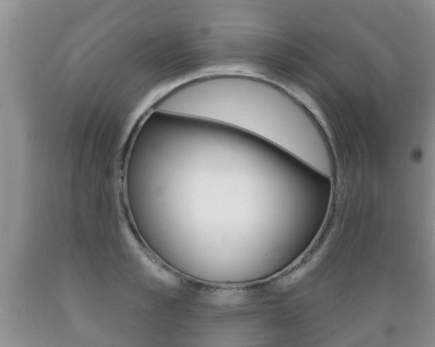 X0000089760989200706210950