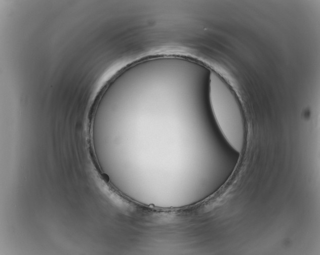 X0000089760990200706210950
