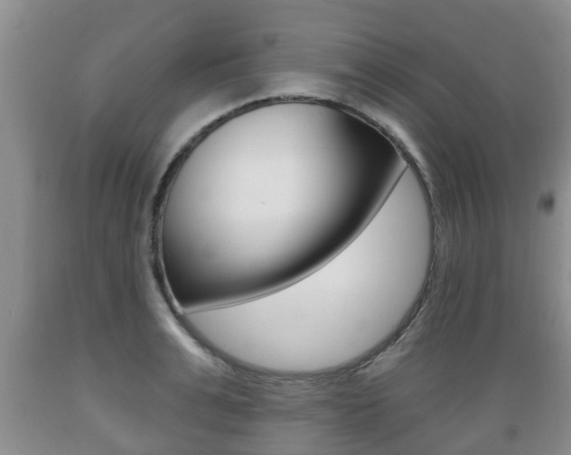 X0000089760991200706210950