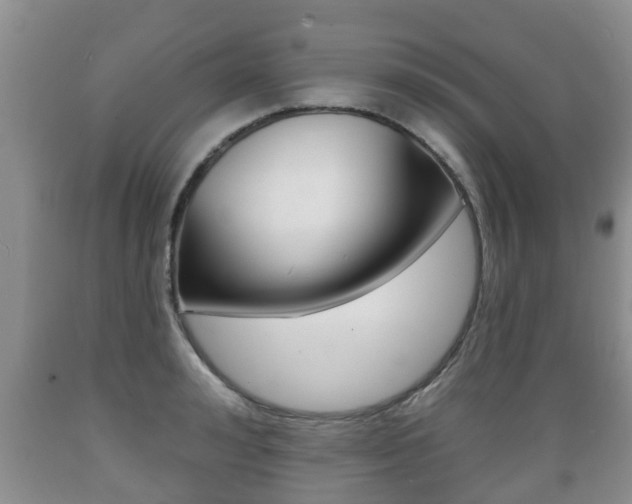 X0000089760992200706210950