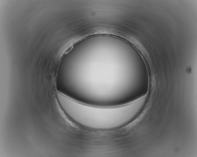 X0000089760993200706210950