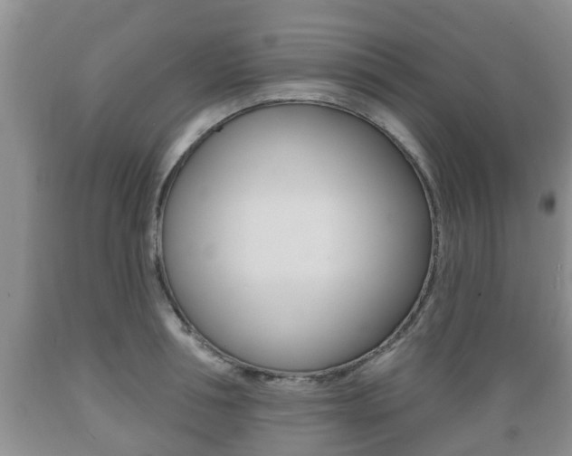 X0000089760994200706210950