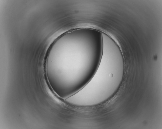 X0000089760995200706210950