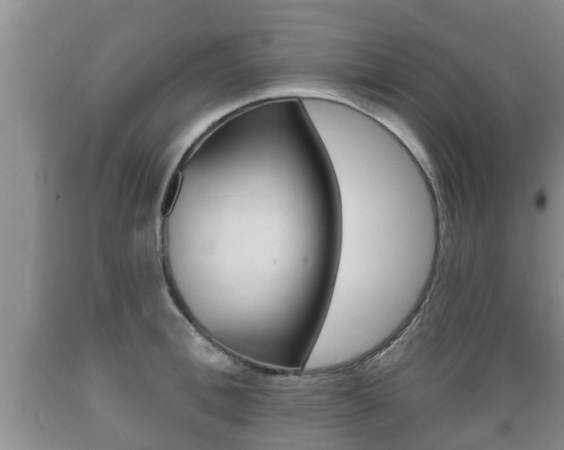 X0000089760996200706210950