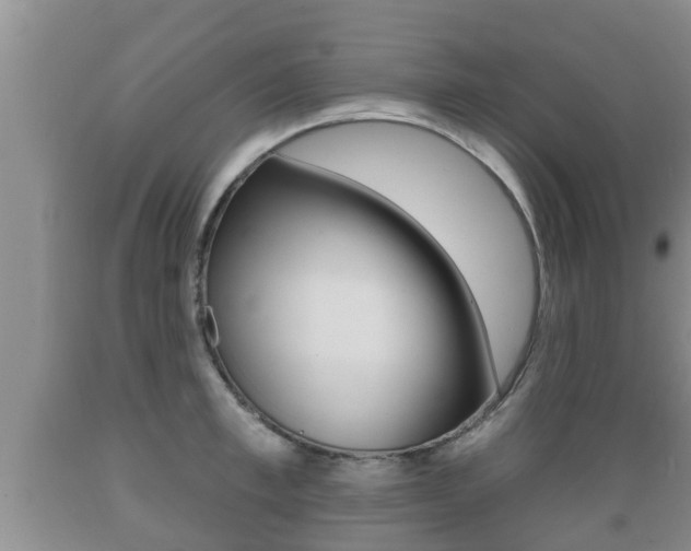 X0000089760997200706210950