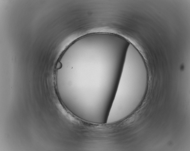 X0000089760998200706210950