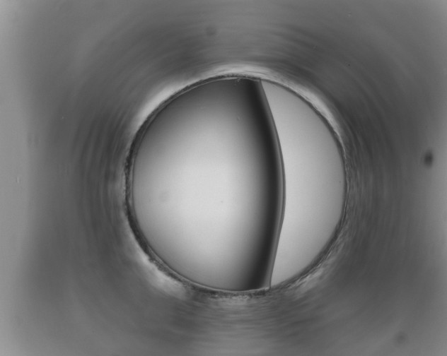 X0000089760999200706210950