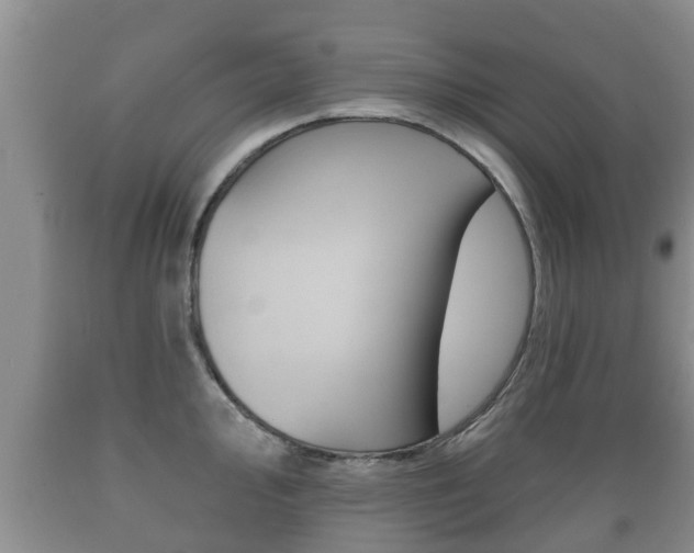 X0000089761000200706210950