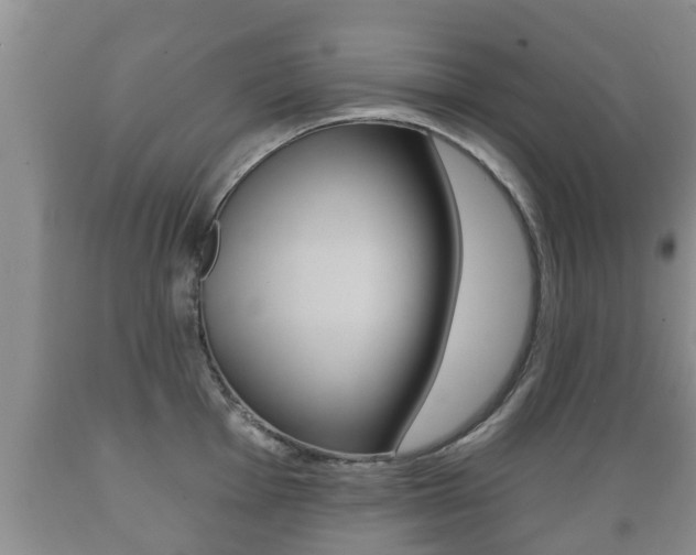 X0000089761001200706210950