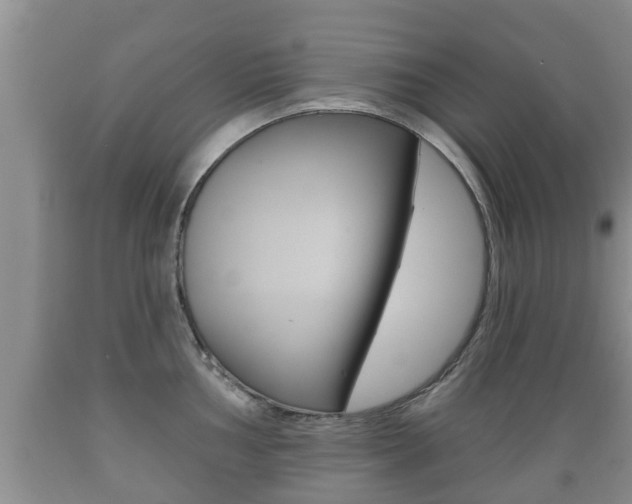 X0000089761002200706210950