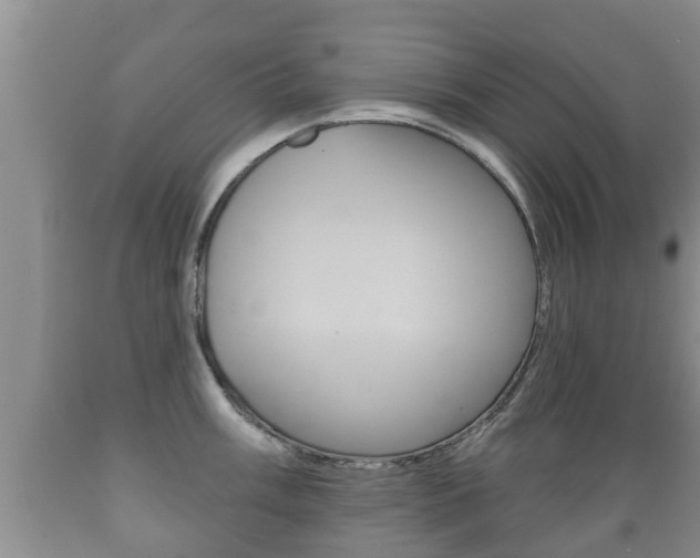 X0000089761003200706210950