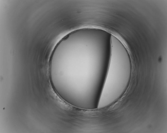 X0000089761004200706210950