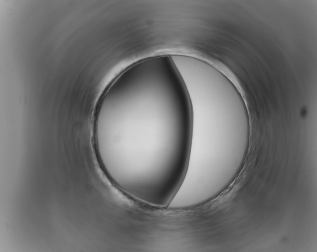 X0000089761005200706210950