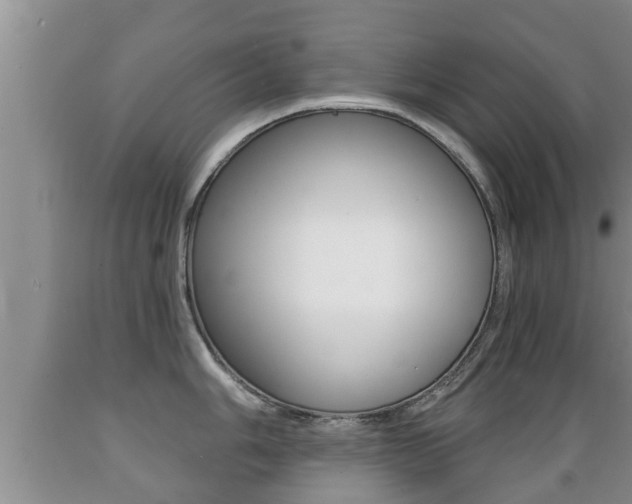 X0000089761006200706210950