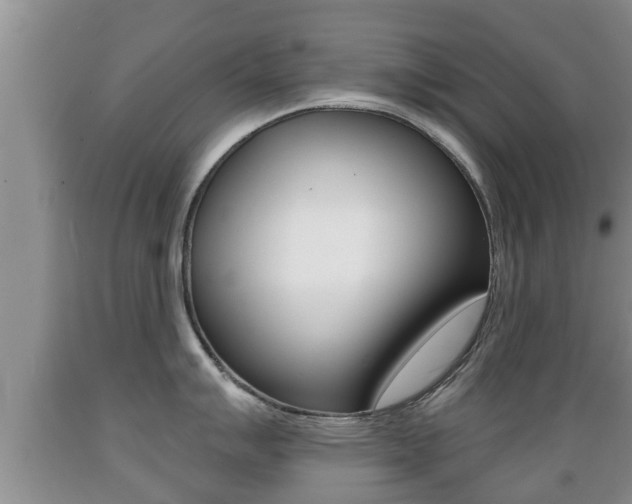 X0000089761007200706210950