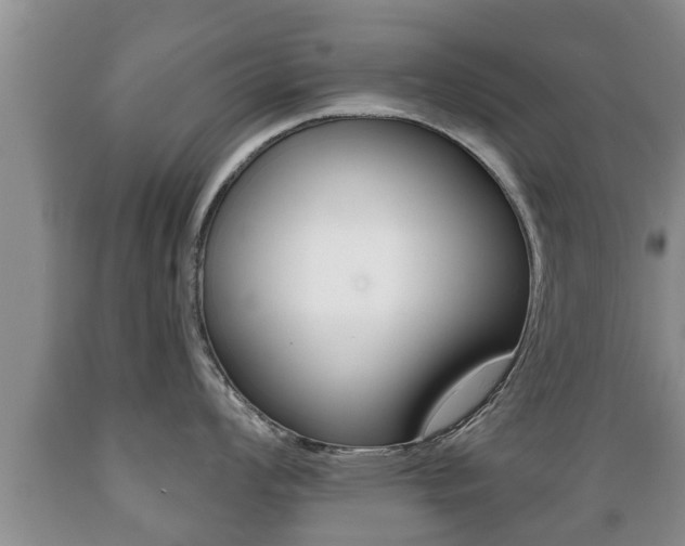 X0000089761008200706210950