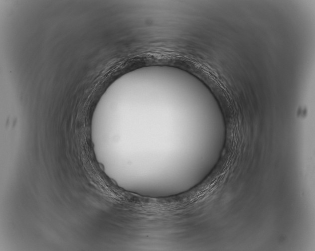 X0000089761009200706210949