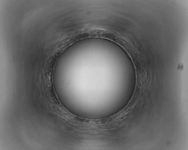 X0000089761013200706210949