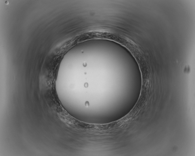 X0000089761014200706210949