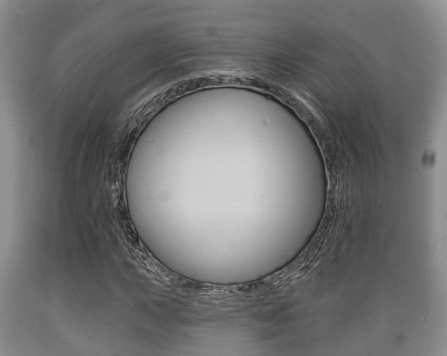 X0000089761015200706210949
