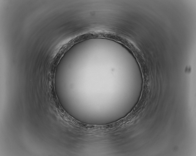 X0000089761016200706210949