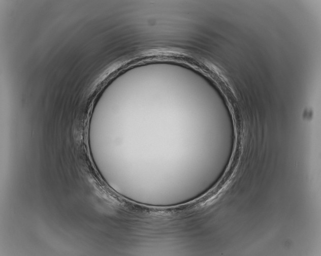 X0000089761017200706210949