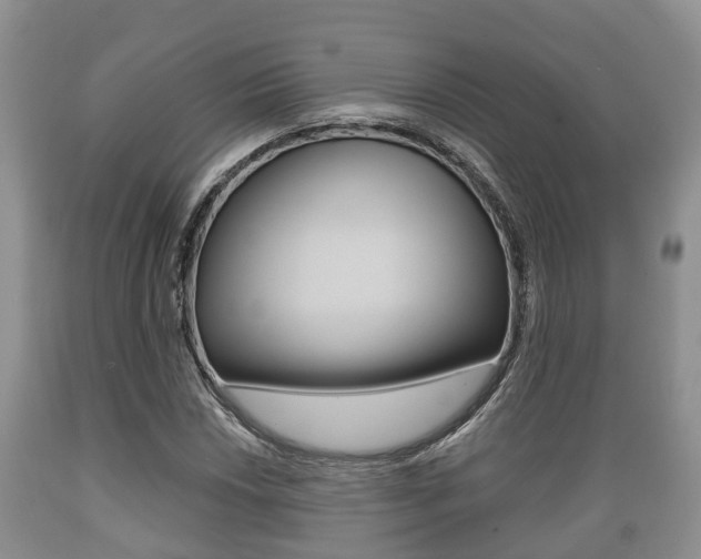 X0000089761018200706210949