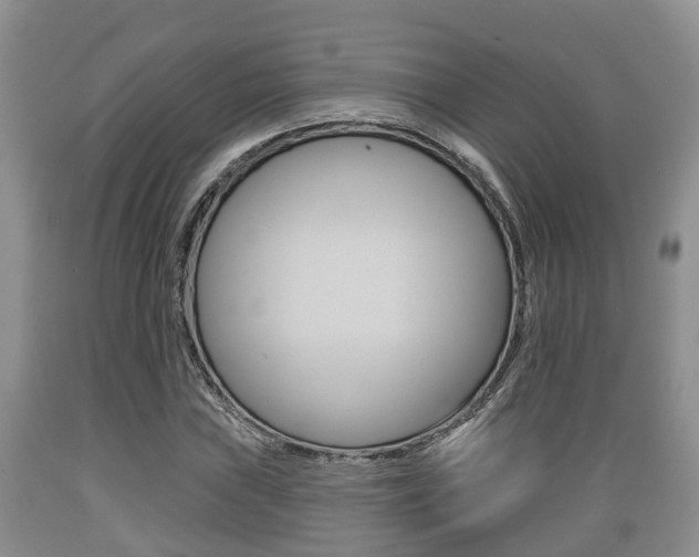 X0000089761019200706210949