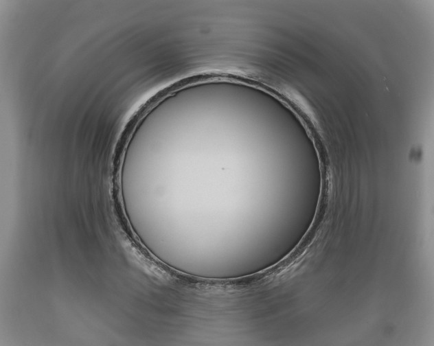 X0000089761020200706210949