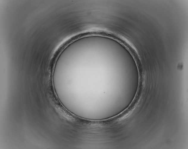 X0000089761021200706210949