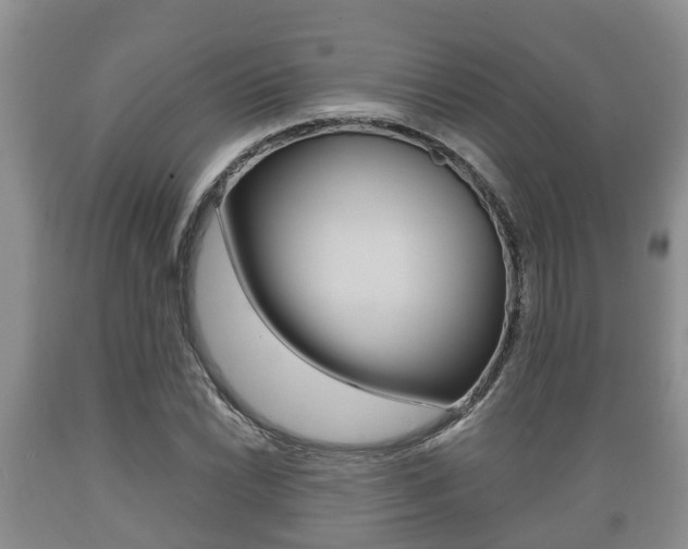 X0000089761022200706210949