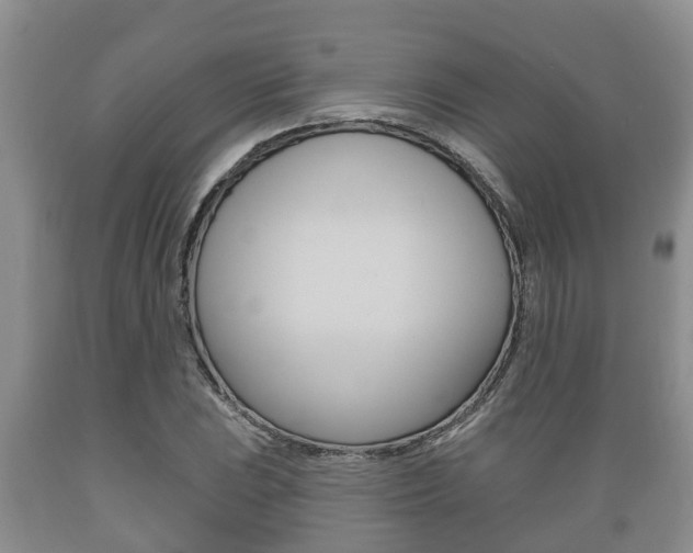 X0000089761023200706210949