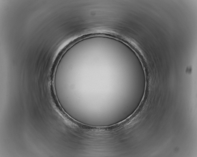 X0000089761024200706210949