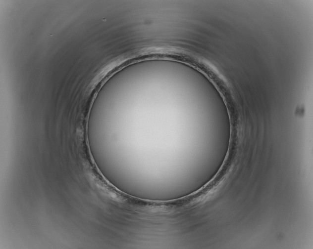 X0000089761025200706210949