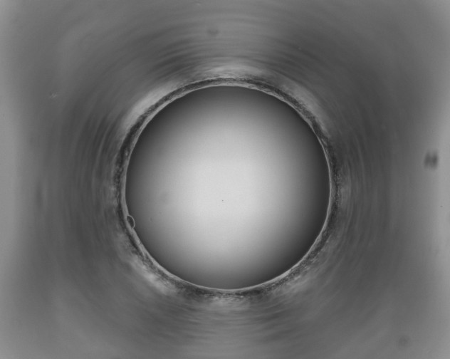 X0000089761026200706210949